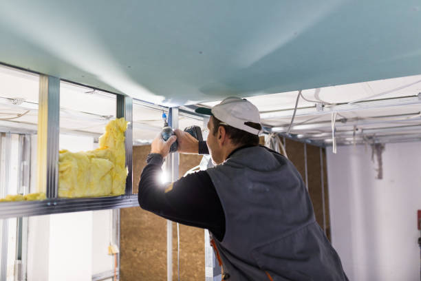 Best Residential Insulation in Freeport, TX